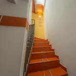 Casa de Férias Casa Turística Cebras